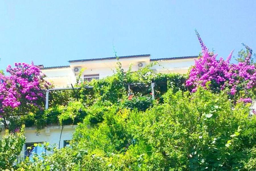 Guest House Madra Budva Eksteriør bilde